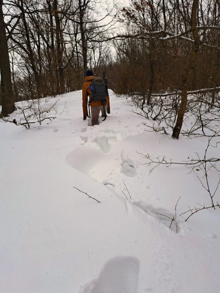 Térdig érő hóban gázol egy ember az erdőben.